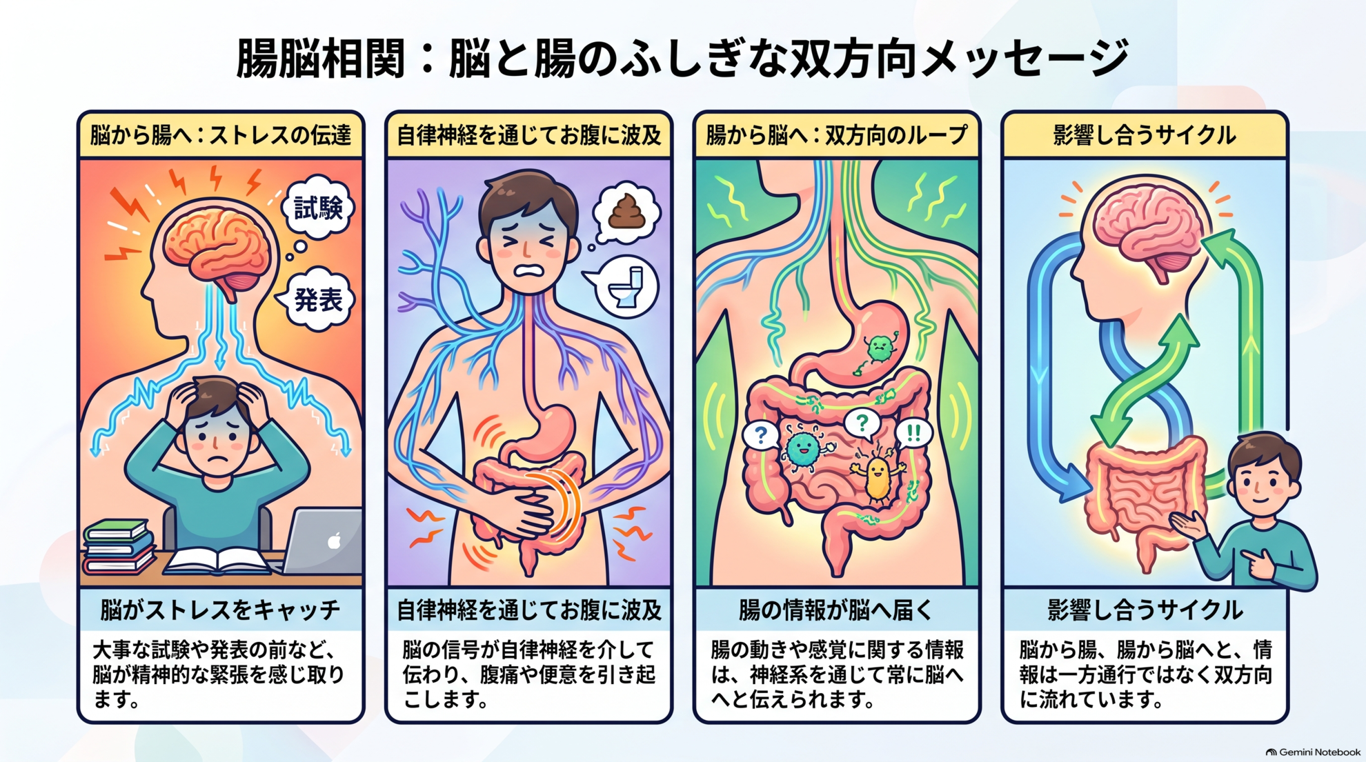 脳腸相関：脳と腸が双方に影響し合う仕組み