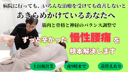 慢性腰痛でお悩みの方はお任せください - JR町田駅徒歩4|たけだ整体院